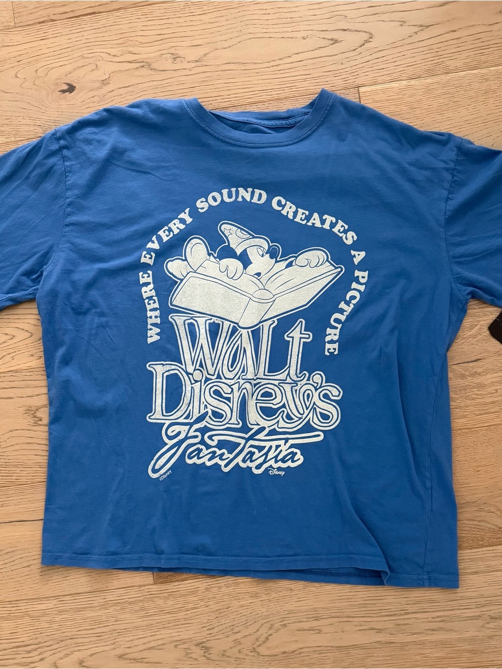 *SOLD OUT* FANTASIA SOUND CREATES A PICTURE OVERSIZED TEE S/M - Picture 8 of 8